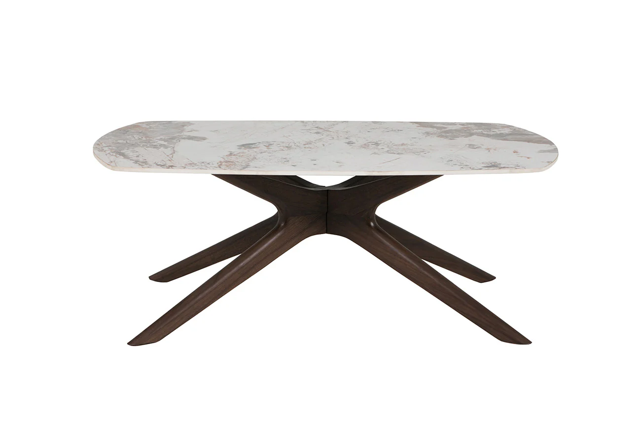 Ariya Coffee Table - Image 3