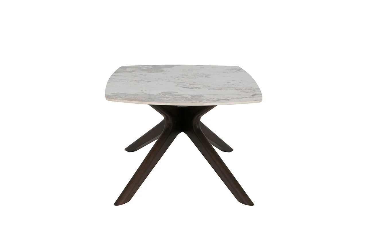 Ariya Coffee Table - Image 4